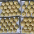 Good Quality of Fresh Crown Pear